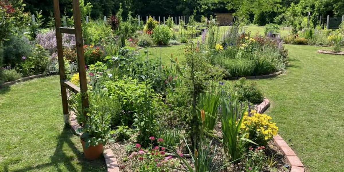 Ezek a kertek maguktól is elboldogulnak, nem kell folyamatosan gondozni őket