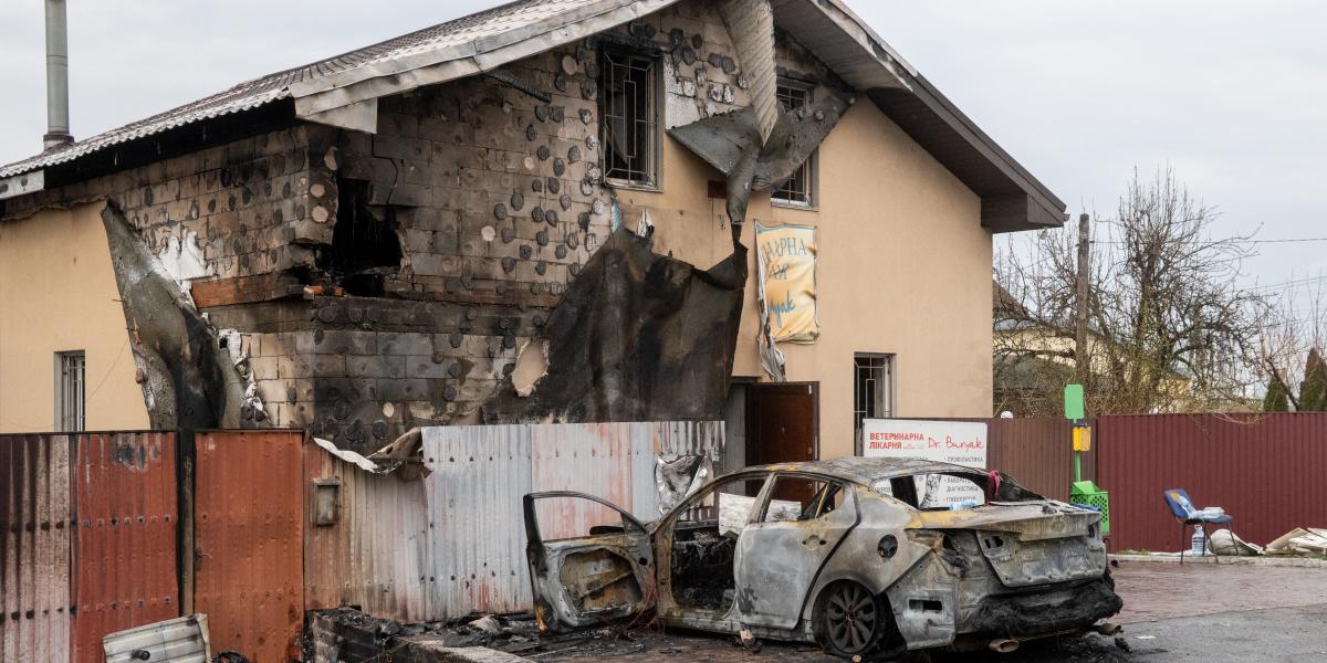 Egy szétlőtt állatorvosi rendelőben húsz állat veszett oda a Kijev megyei Csabaniban