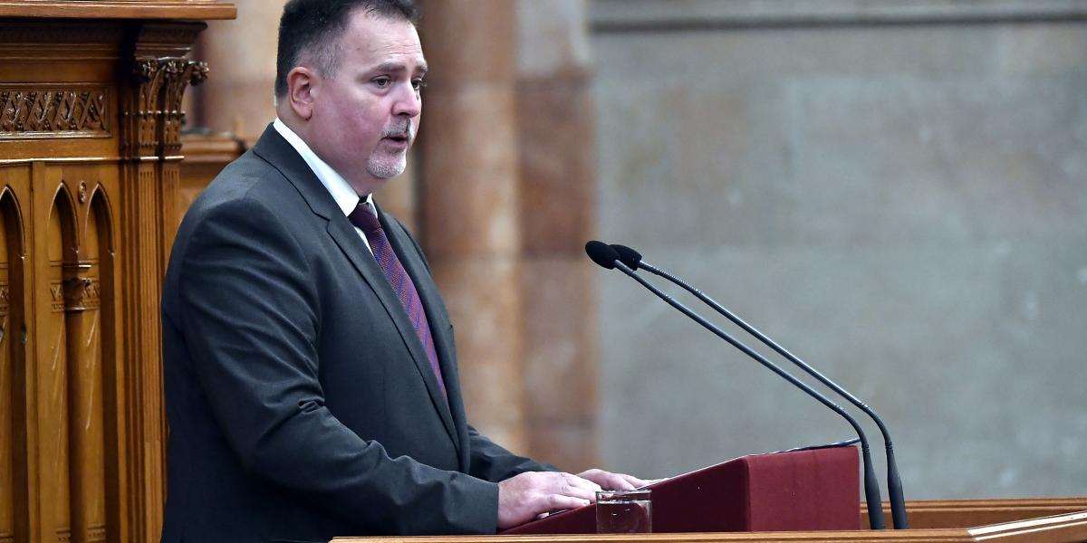 Windisch László ÁSZ-elnök - Korábbi felvétel 