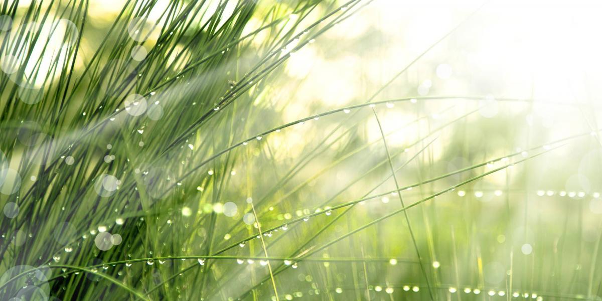 Képünk illusztráció