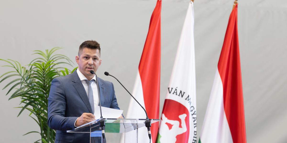 Lőrincz Tamás - Korábbi felvétel 