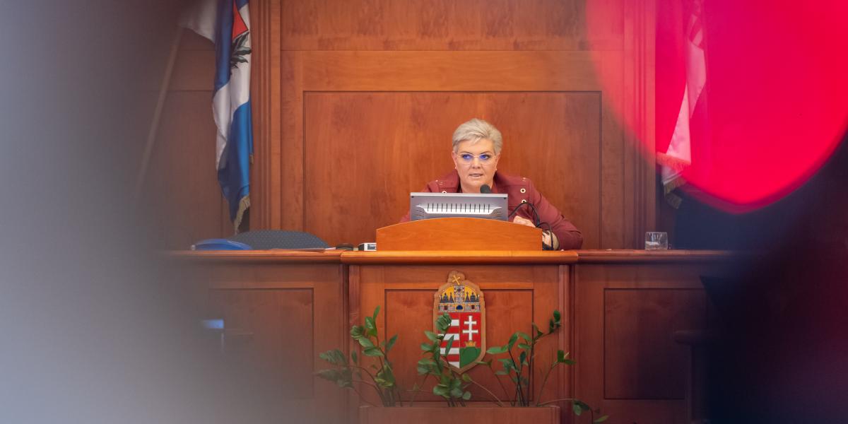 Cserdiné Németh Angéla polgármester a XV. kerületi önkormányzat  egy korábbi ülésén 