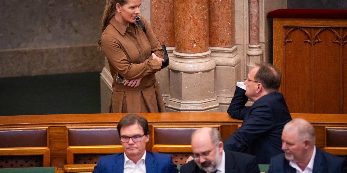 Király Nóra - Korábbi felvétel 