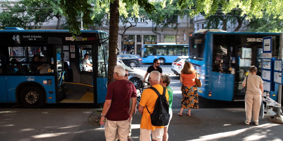 Az árnyék sem sokat segít a 40 fokhoz közeli kánikulában