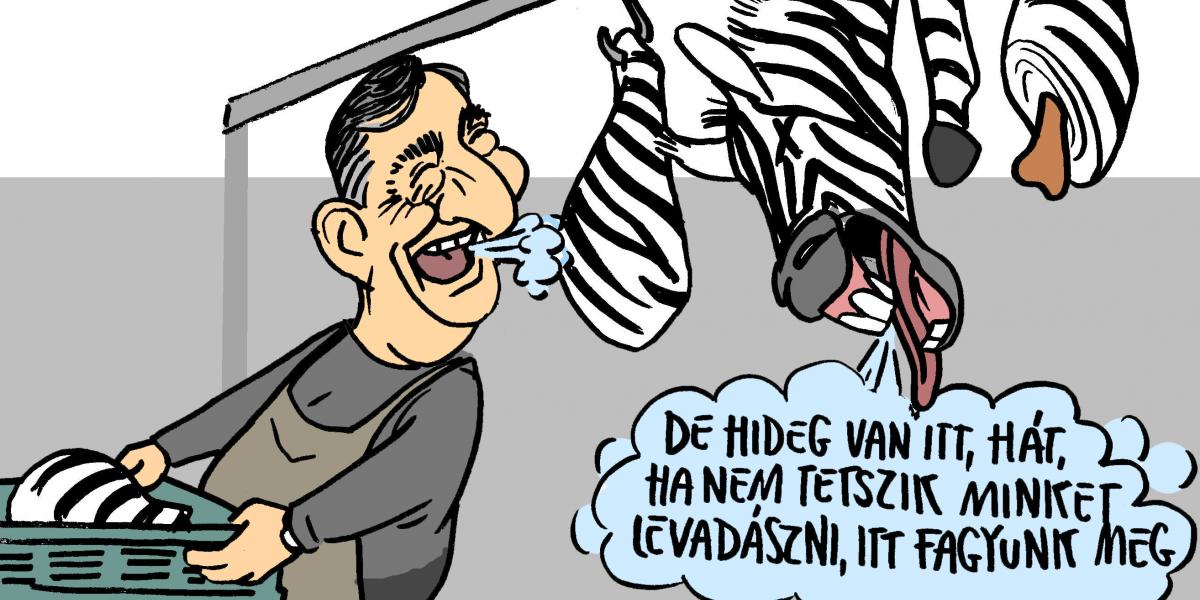 Hűtőkamra