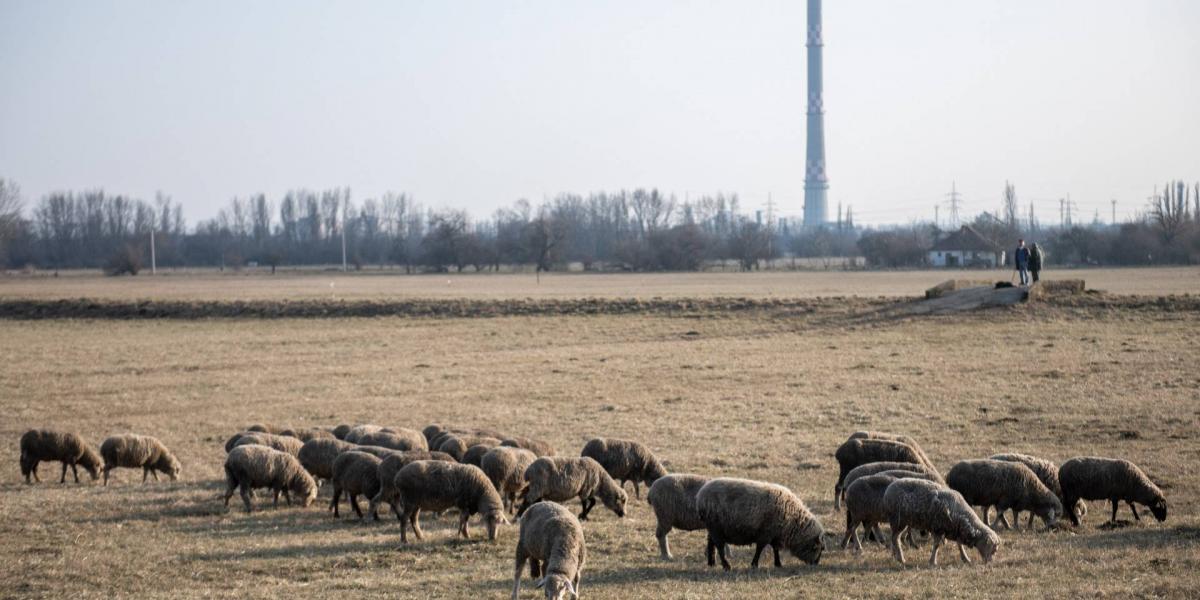 Képünk illusztráció, Mocsárosdűlő természetvédelmi területe 2021 februárjában