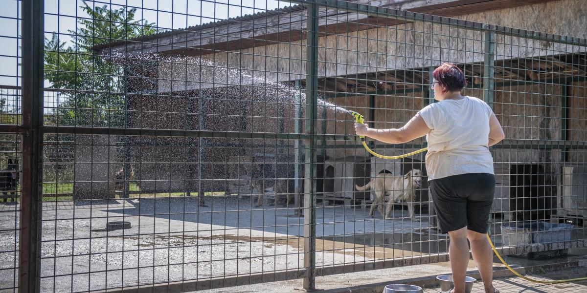 Egy nagyobb menhelyen naponta több ezer liter vizet is elhasználhatnak