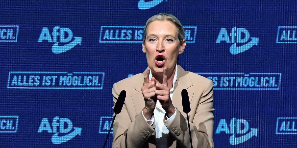 Alice Weidel társelnöknek eddig sem volt könnyű közös nevezőre hozni a pártot bizonyos kérdésekben, bár ez a belső feszültség eddig nem ártott az AfD népszerűségének