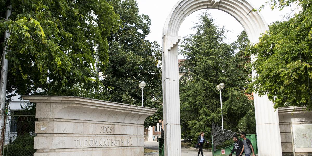 A Pécsi Tudományegyetemtől (PTE) kiszivárgott információink szerint több mint hetvenen jelentkeztek tagnak az egyetem alapítványának ötfős kuratóriumába