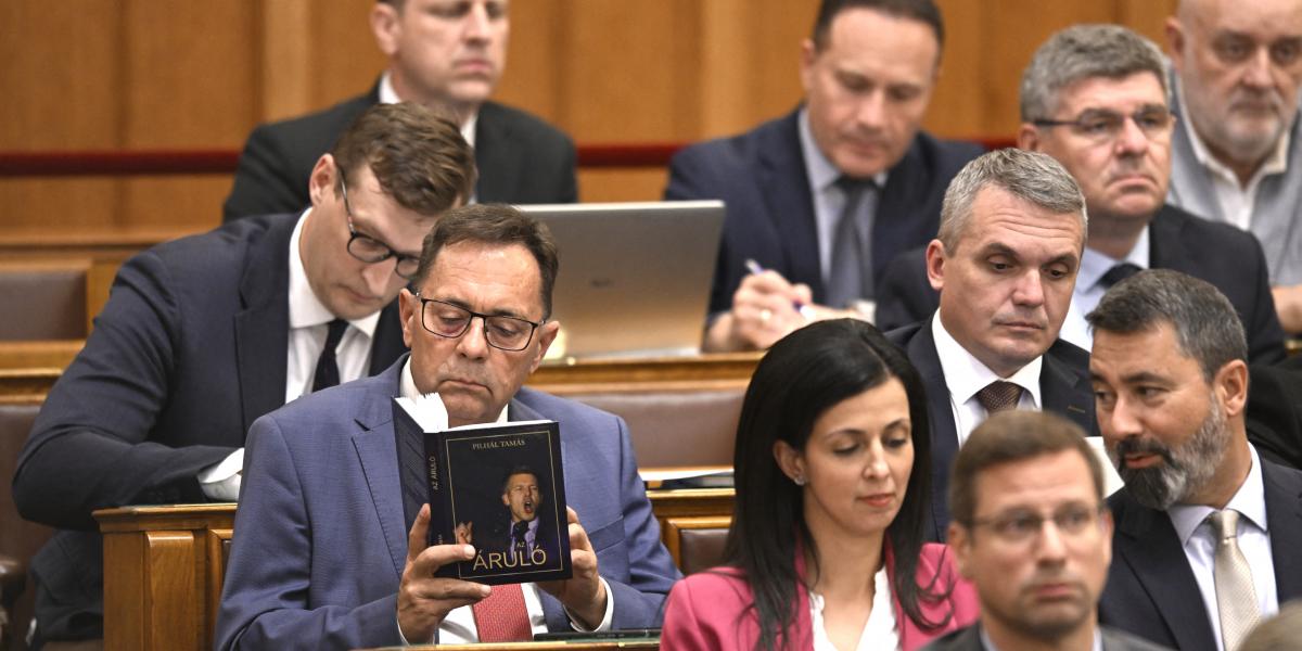 A Fidesz-frakció – korábbi felvétel