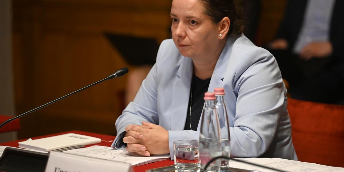 Unger Anna a bizottsági meghallgatáson