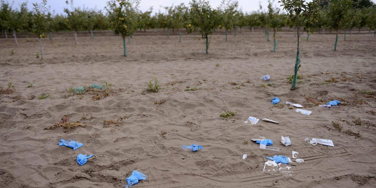 Egyre nő a feszültség a szerb–magyar határon – az Orbán-kormány önigazolást merít az agresszióból FOTÓ: MTI/MOLNÁR EDVÁRD