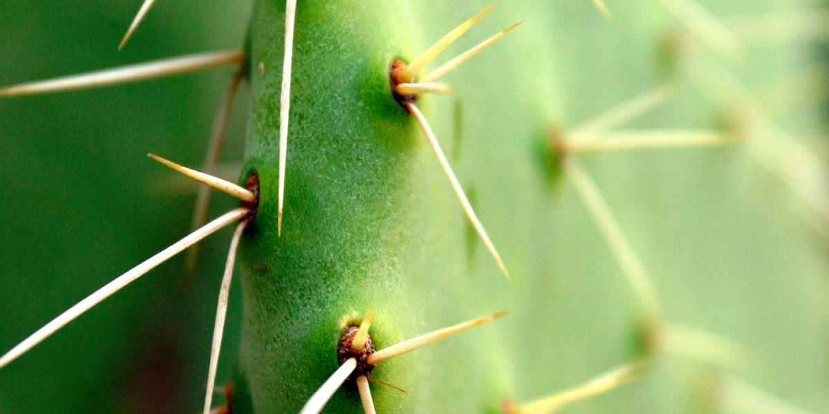 Illusztráció/Thinkstock