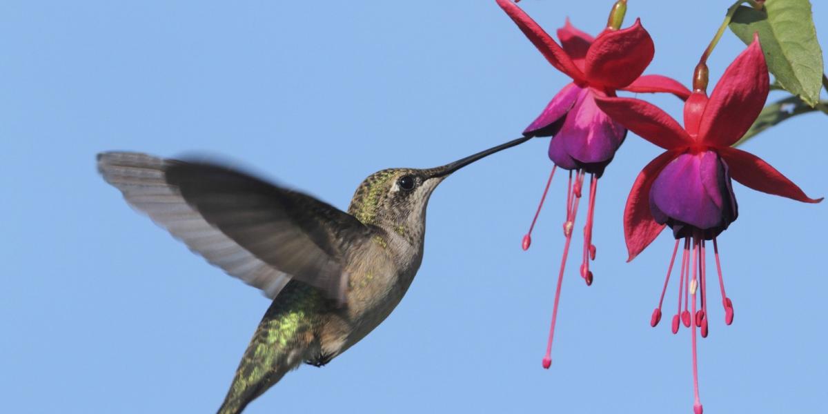 Illusztráció: Thinkstock