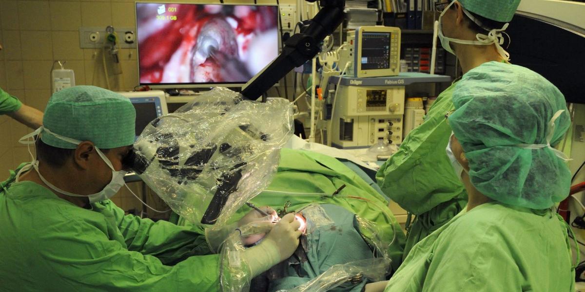 MTI Fotó: Kelemen Zoltán Gergely
