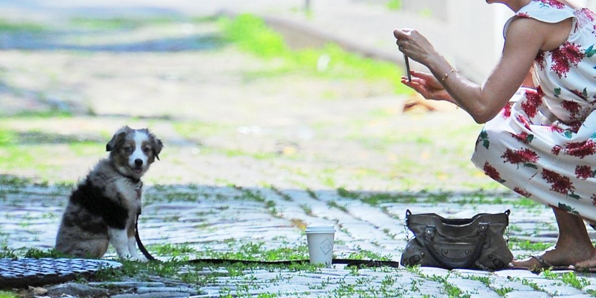 Fotók: Josiah Kamau / Getty Images