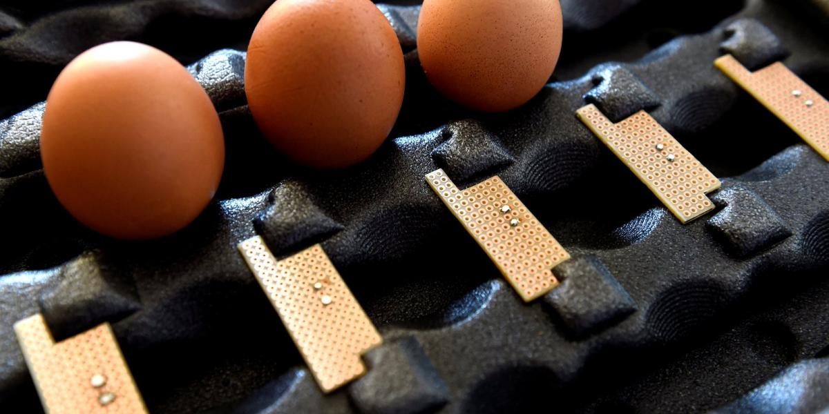 Fotó: MTI/Bruzák Noémi