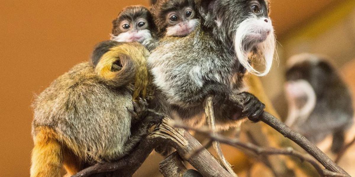 MTI Fotó: Balázs Attila