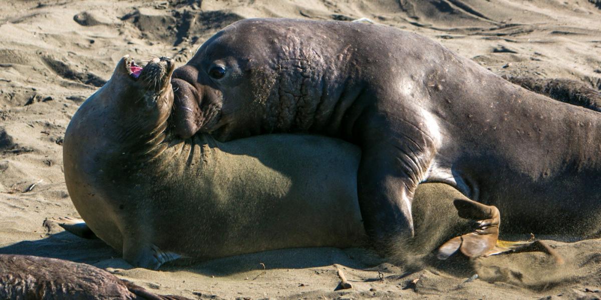 Fotók: George Rose/Getty Images