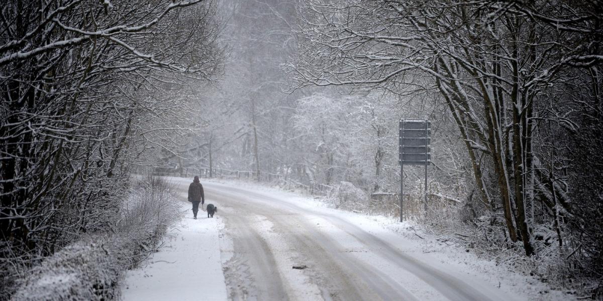 Képünk illusztráció. Fotó: Jeff J Mitchell/Getty Images