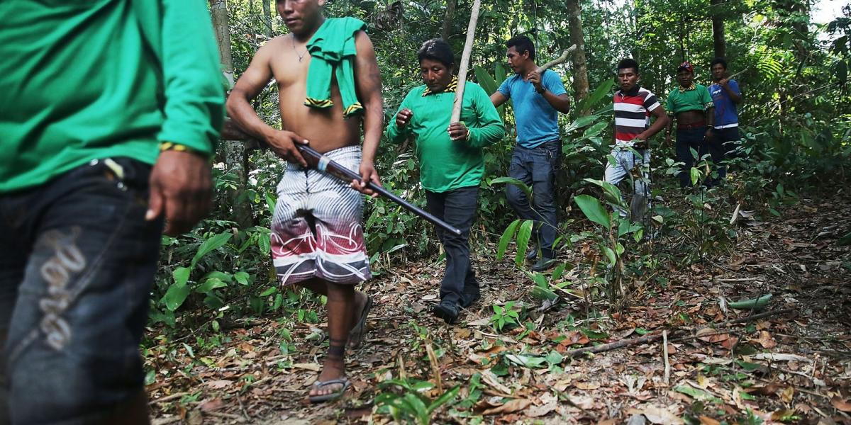 A brazíliai Ka’apor indián törzs már saját őrjáratokkal is próbál szembeszállni az egyre inkább elharapózó illegális favágással.