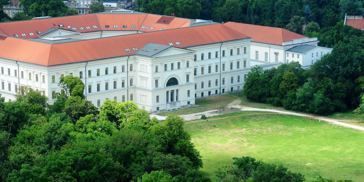 A campus egyre dagad FOTÓ: MOLNÁR ÁDÁM