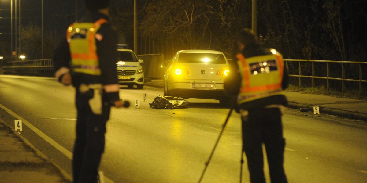 MTI Fotó: Mihádák Zoltán