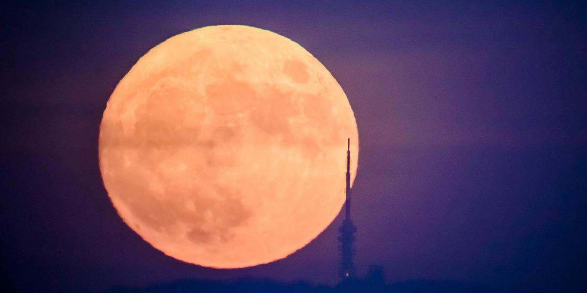 MTI Fotók: Komka Péter