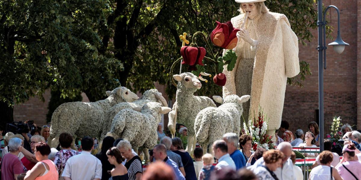  MTI Fotó: Szigetváry Zsolt