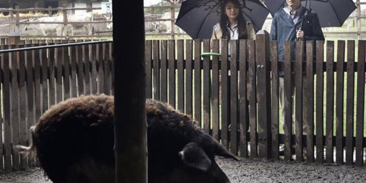 A japán herceg és leánya Bugacon. MTI Fotó: Máthé Zoltán