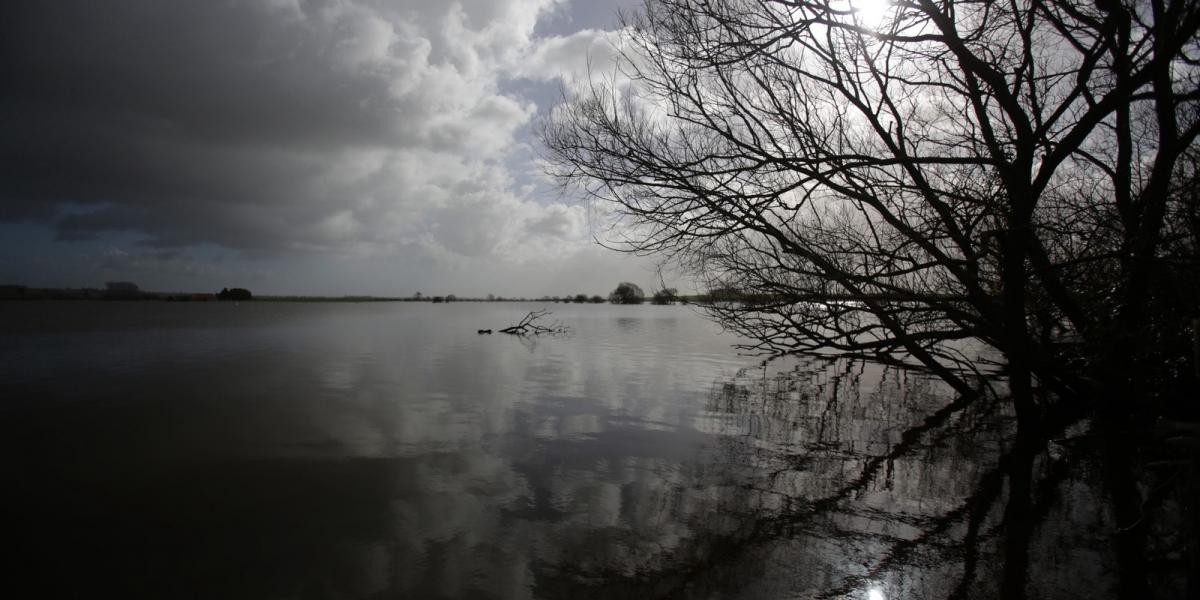 Fotó: Matt Cardy, Getty Images