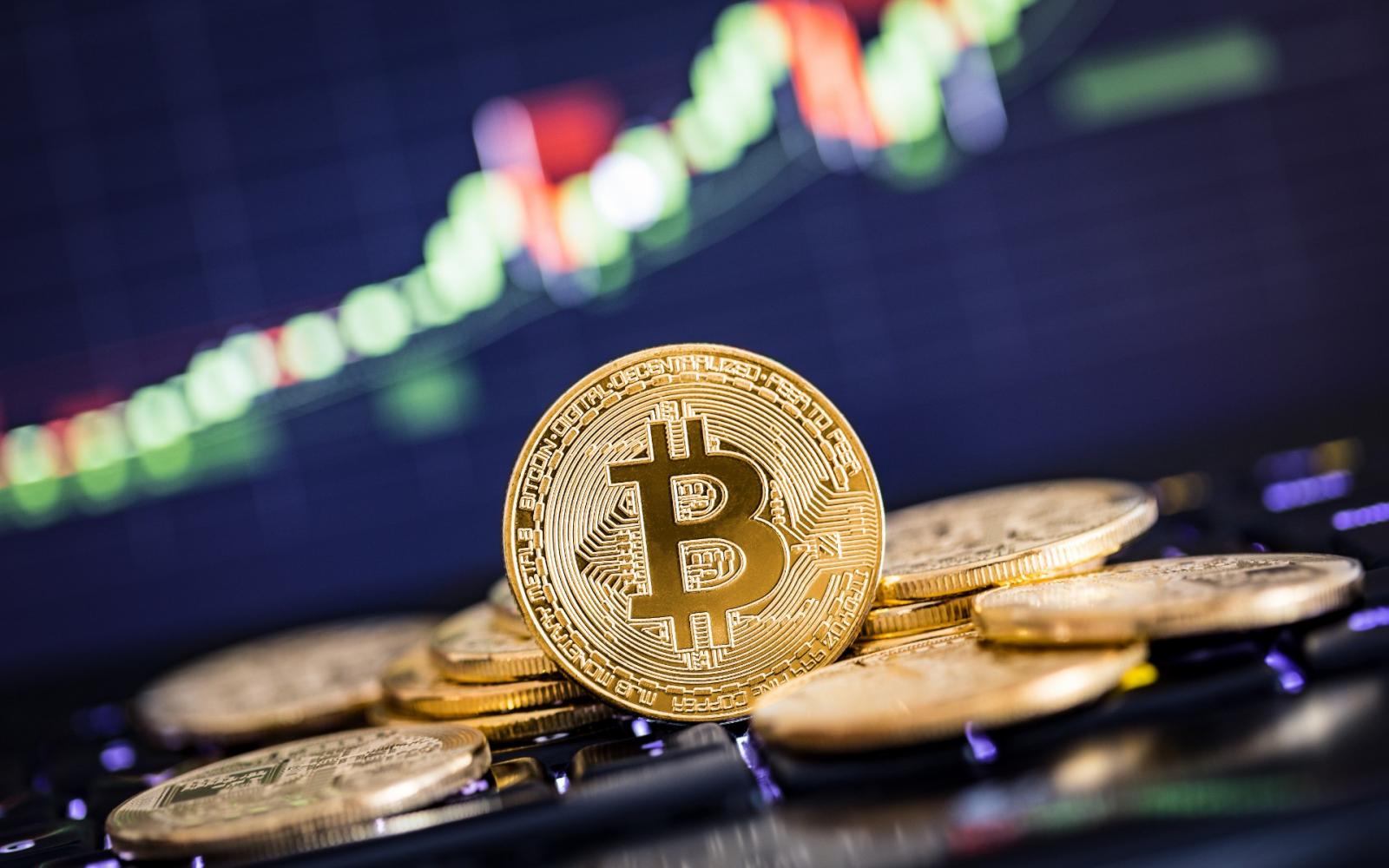 3 Tanulmányok a marihuána tőzsdei befektetők számára a Bitcoin Bust-tól - Befektetés 