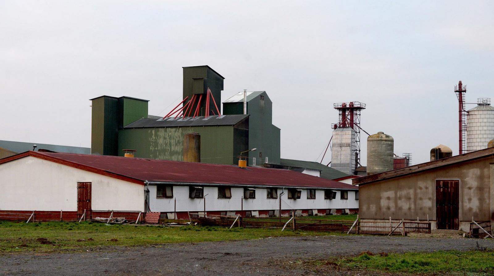 A MÉKER Kft. sertéstelepe