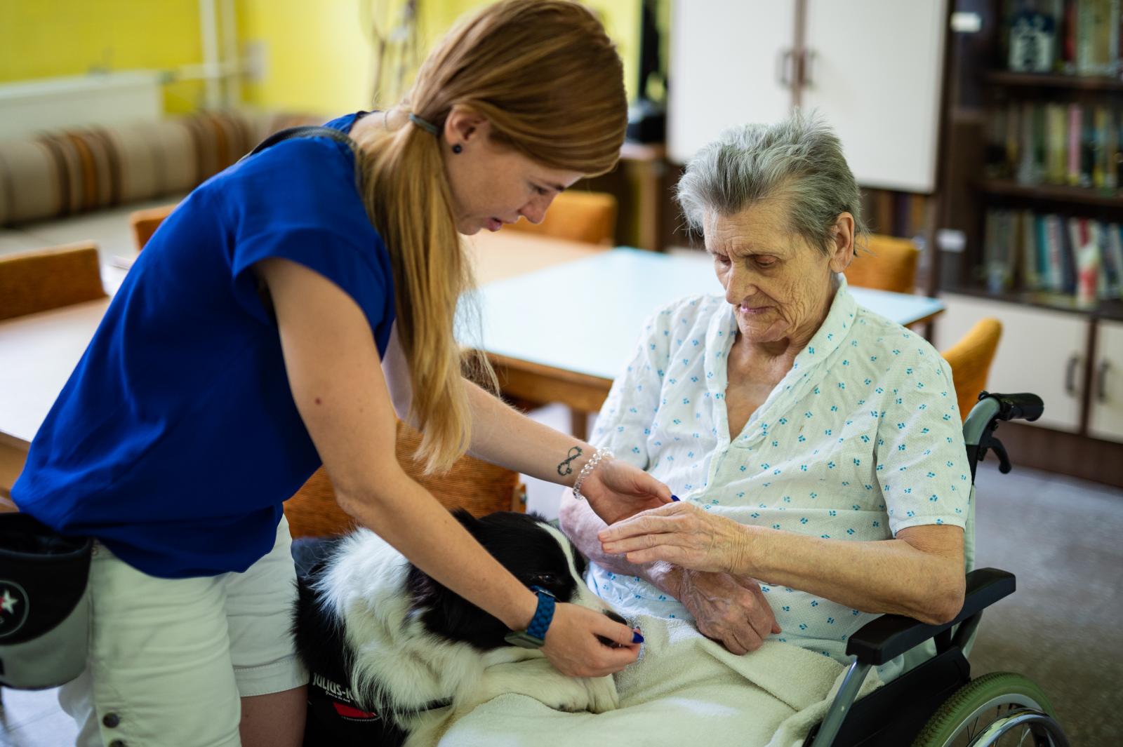 Terápiás kutya hospice kórházban