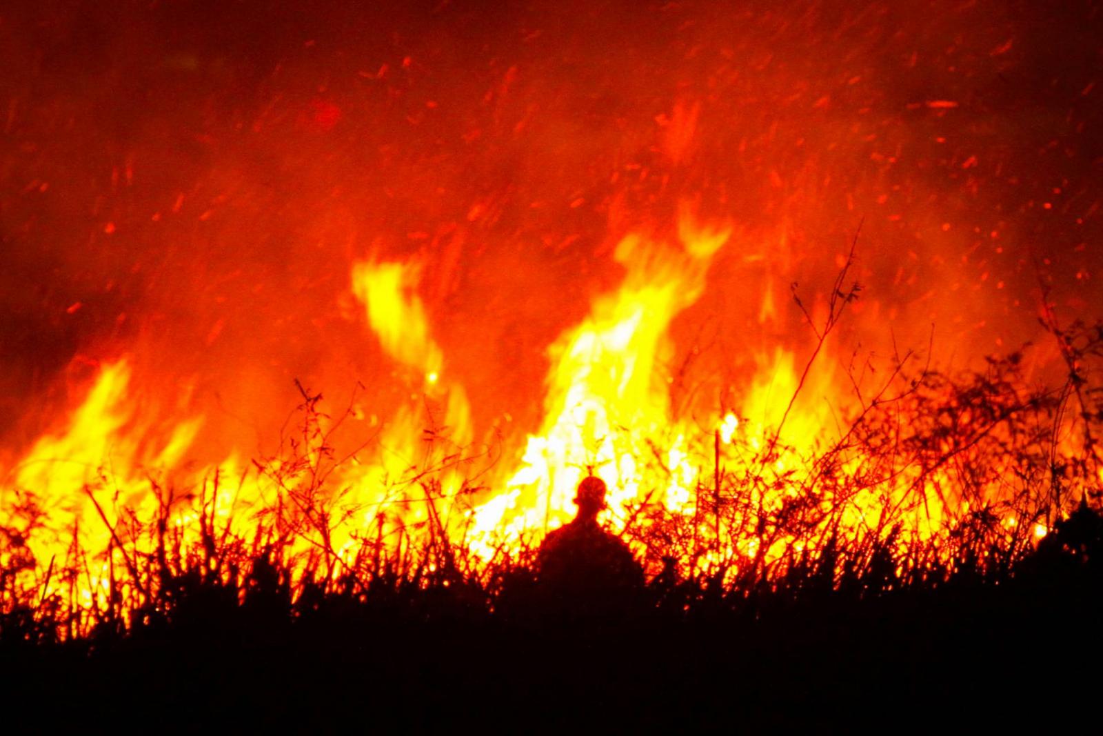 Turkey: Forest fire destroys over 1,200 acres of land