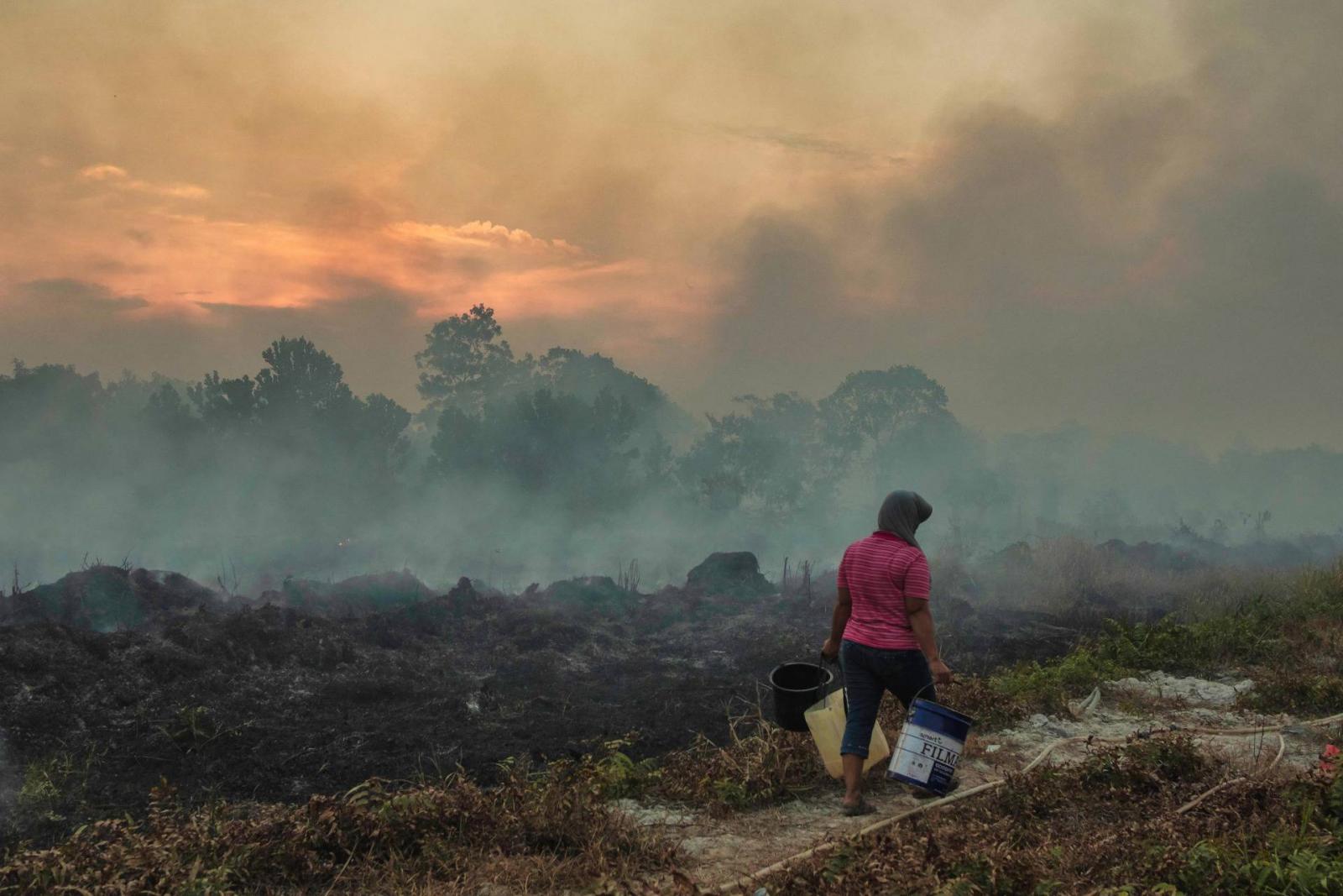 Turkey: Forest fire destroys over 1,200 acres of land