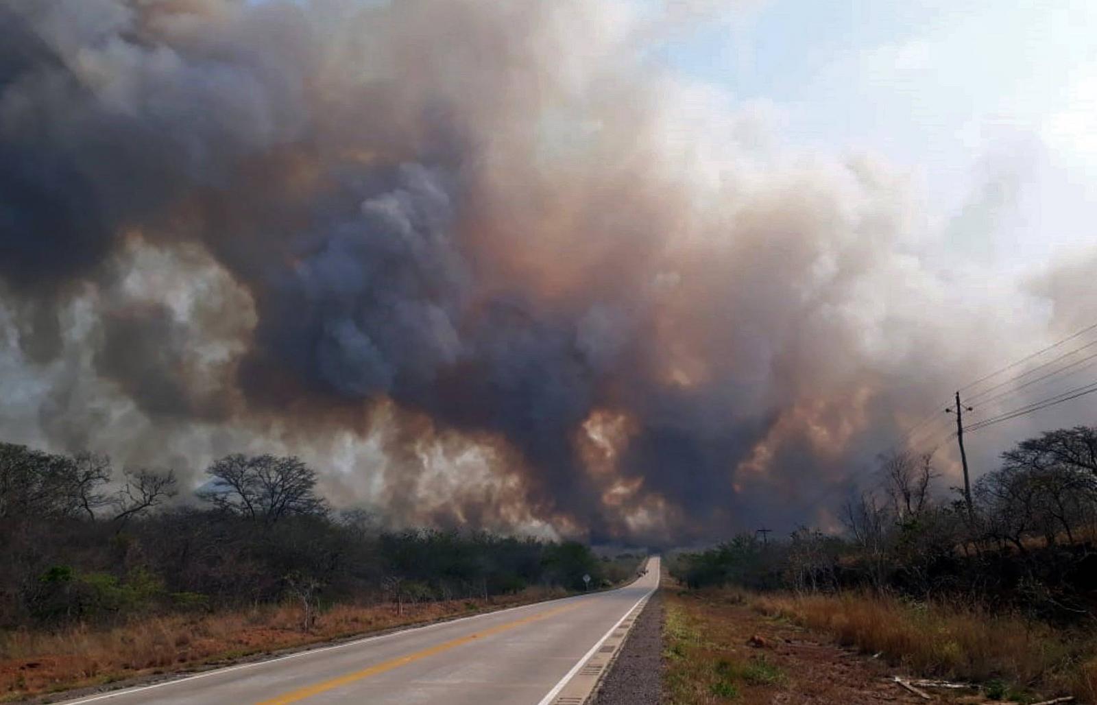 Turkey: Forest fire destroys over 1,200 acres of land