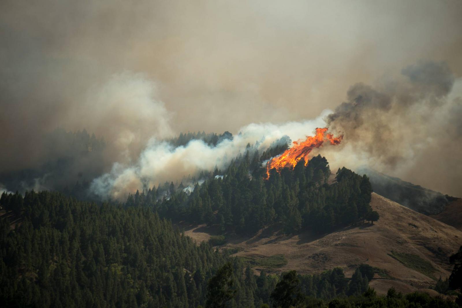 Turkey: Forest fire destroys over 1,200 acres of land