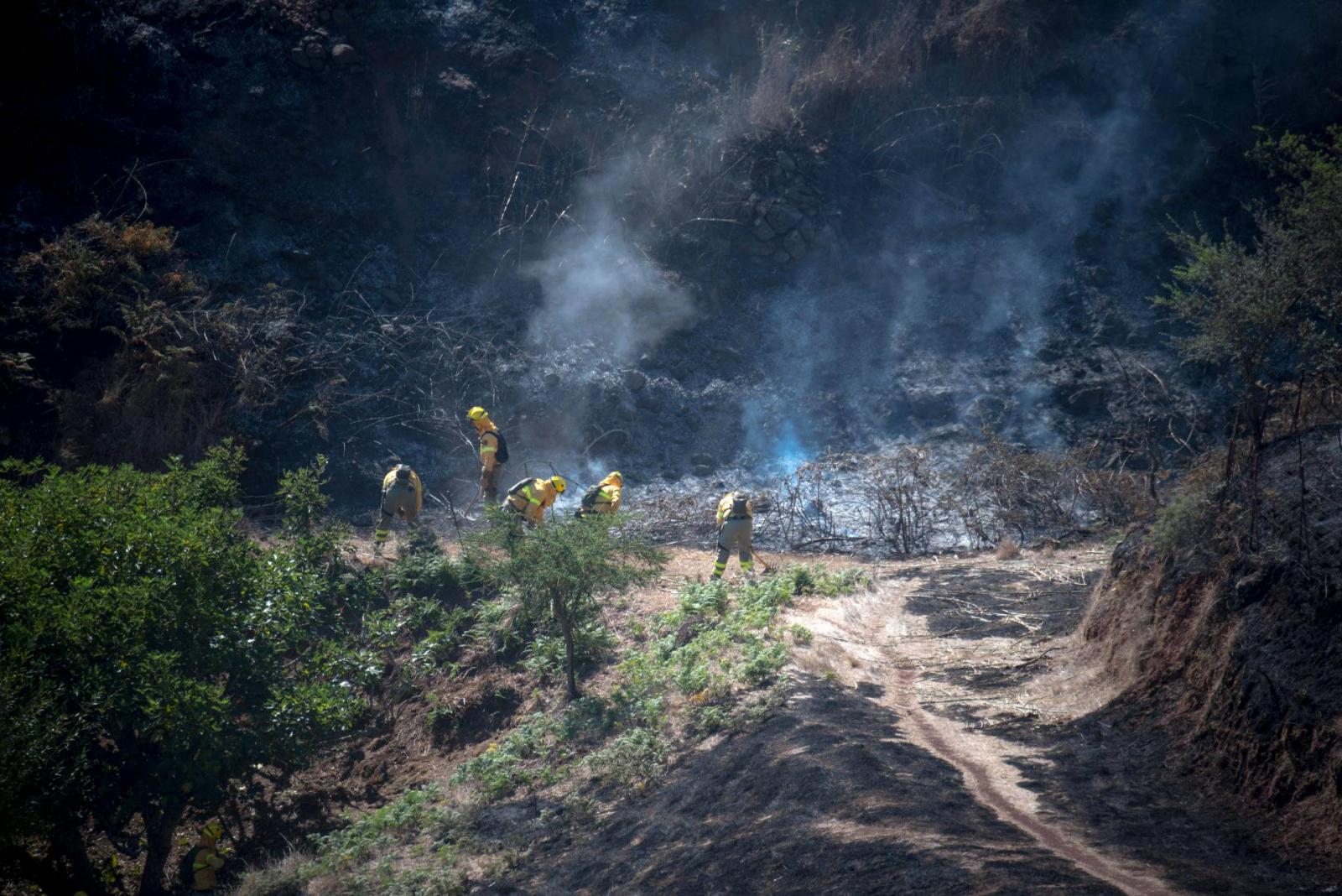 Turkey: Forest fire destroys over 1,200 acres of land