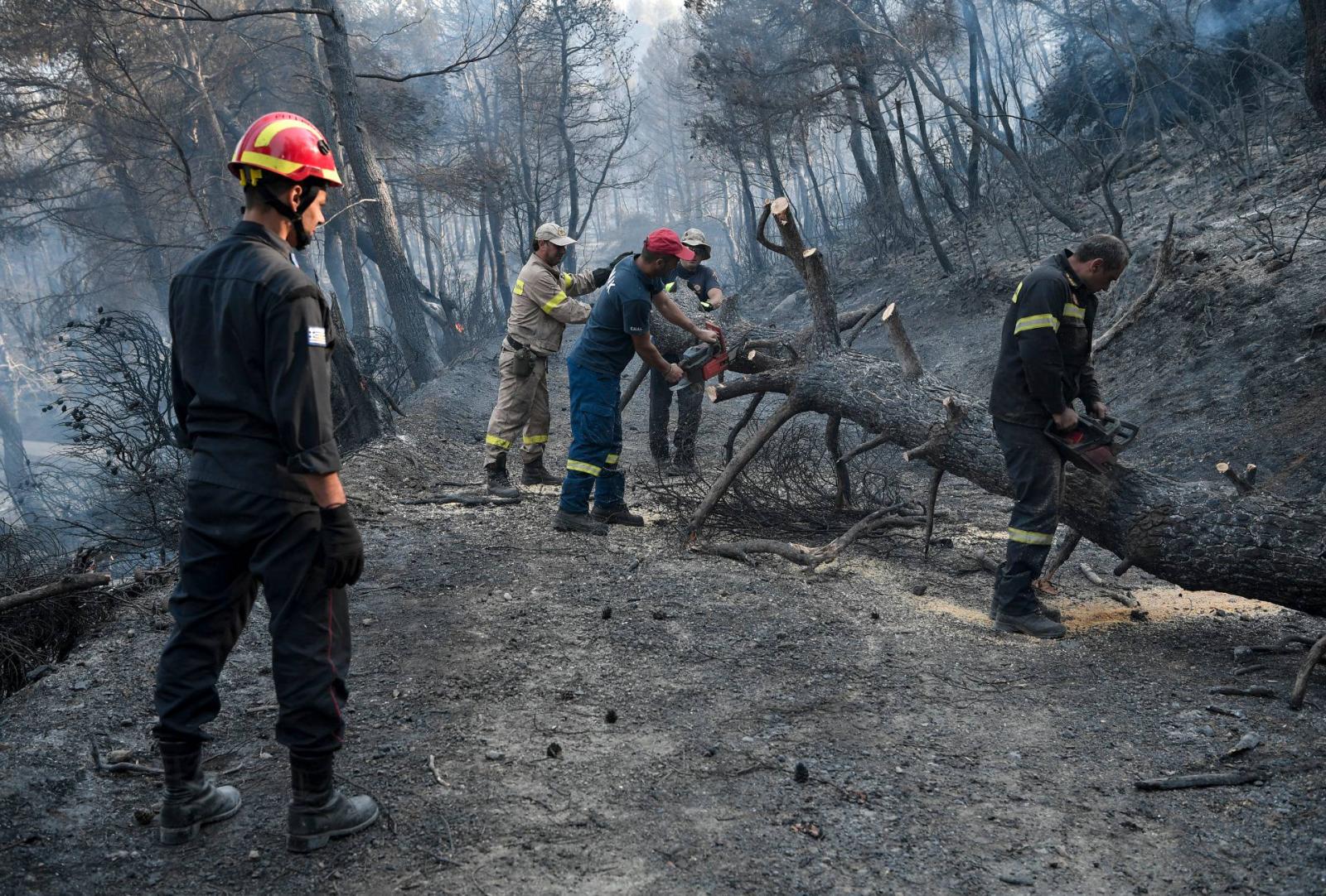 Turkey: Forest fire destroys over 1,200 acres of land