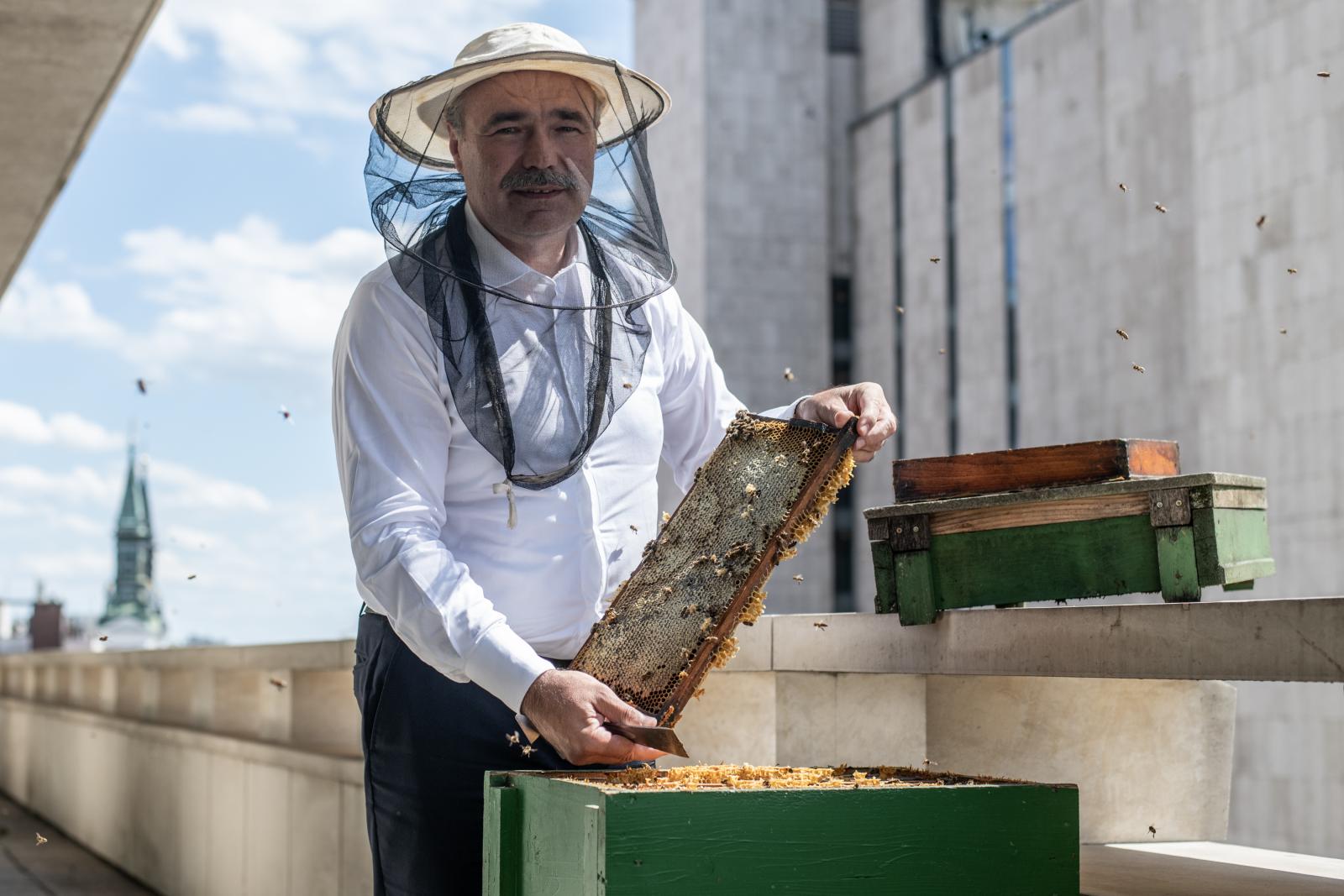 A miniszter az agrártárca erkélyére költöztetett egy méhcsaládot: demonstrálva, hogy a méhek nélkül nincs élet