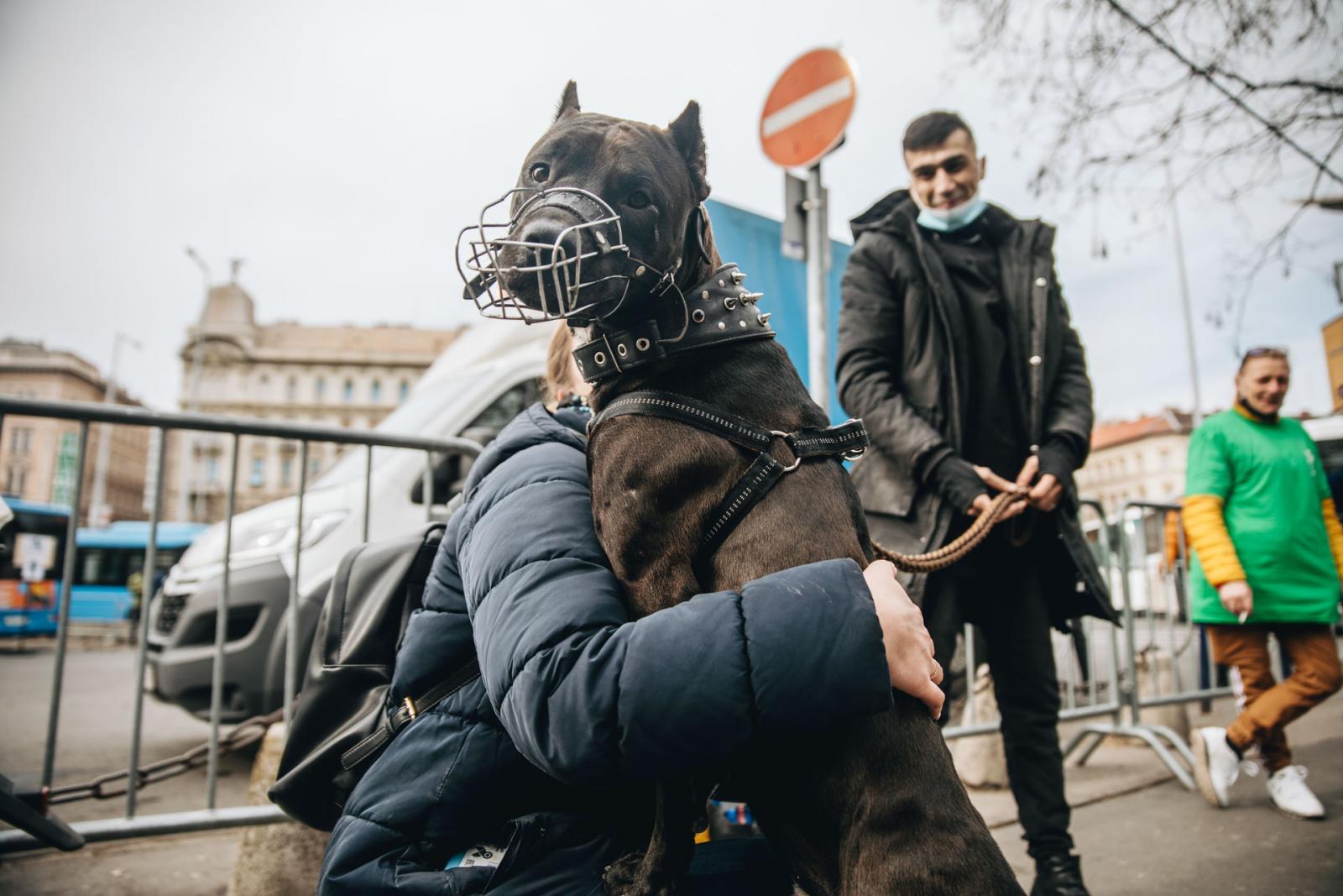 2022. február 28.
menekültek érkeznek Ukrajnából a Nyugati pályaudvarra.