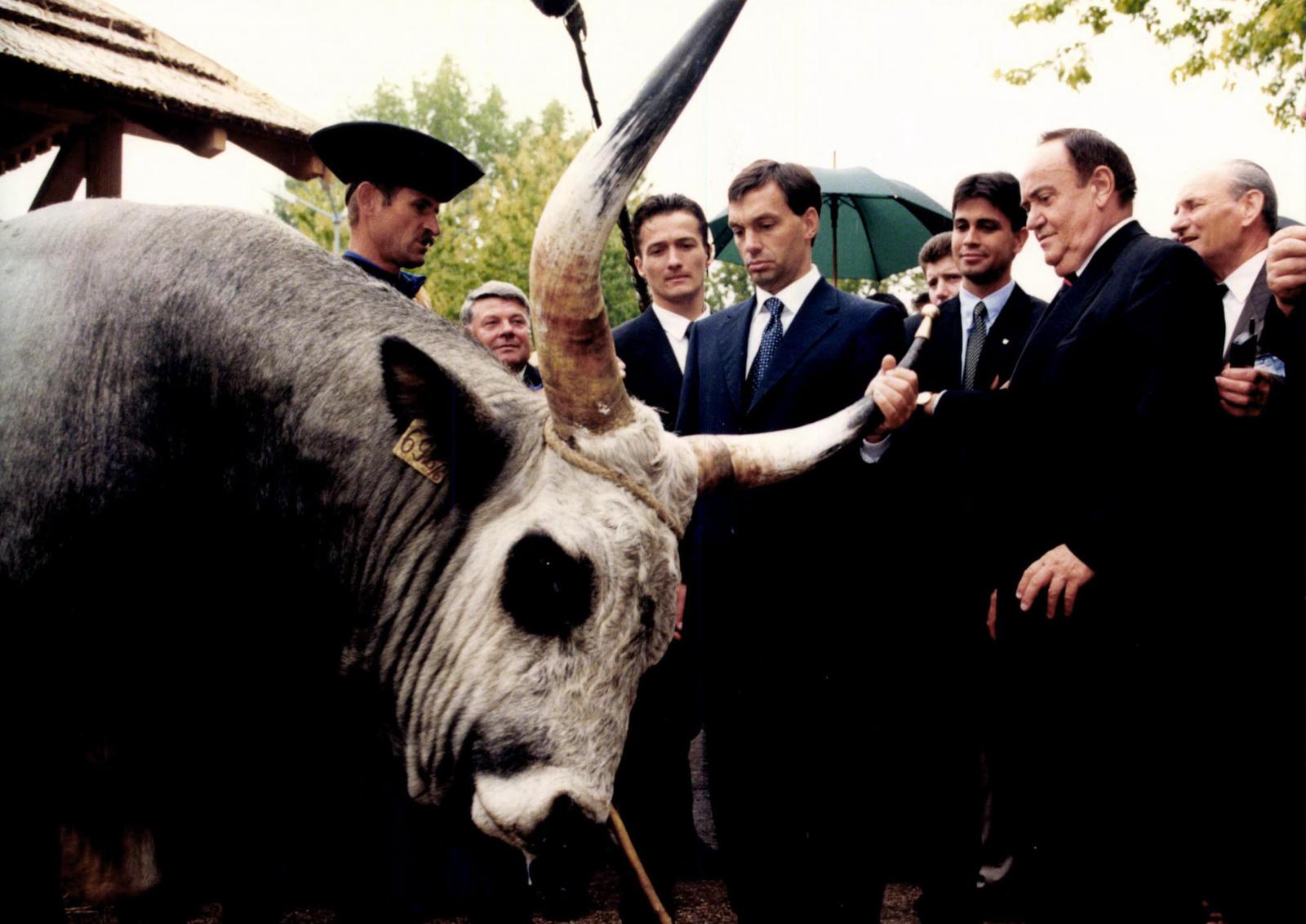 1989. június 16. Műcsarnok előtt, Nagy Imre és mártírtársai újratemetésekor. Orbán Viktor beszédet mond.