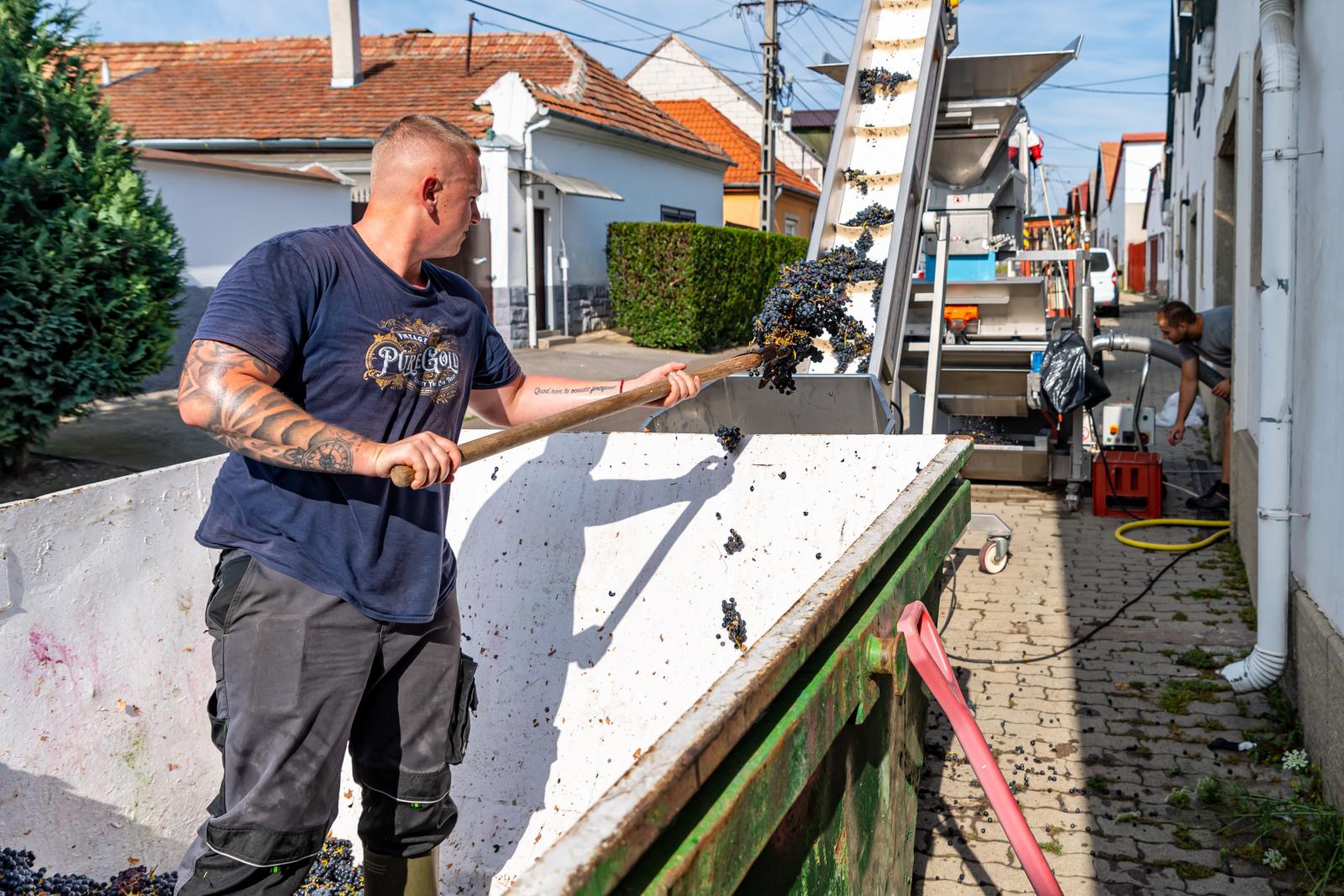 Azt a hozzáállást − mondja a szőlészeti szekció elnöke − el kell felejteni, hogy nagyon pici termésekkel lehet csak jó minőséget elérni