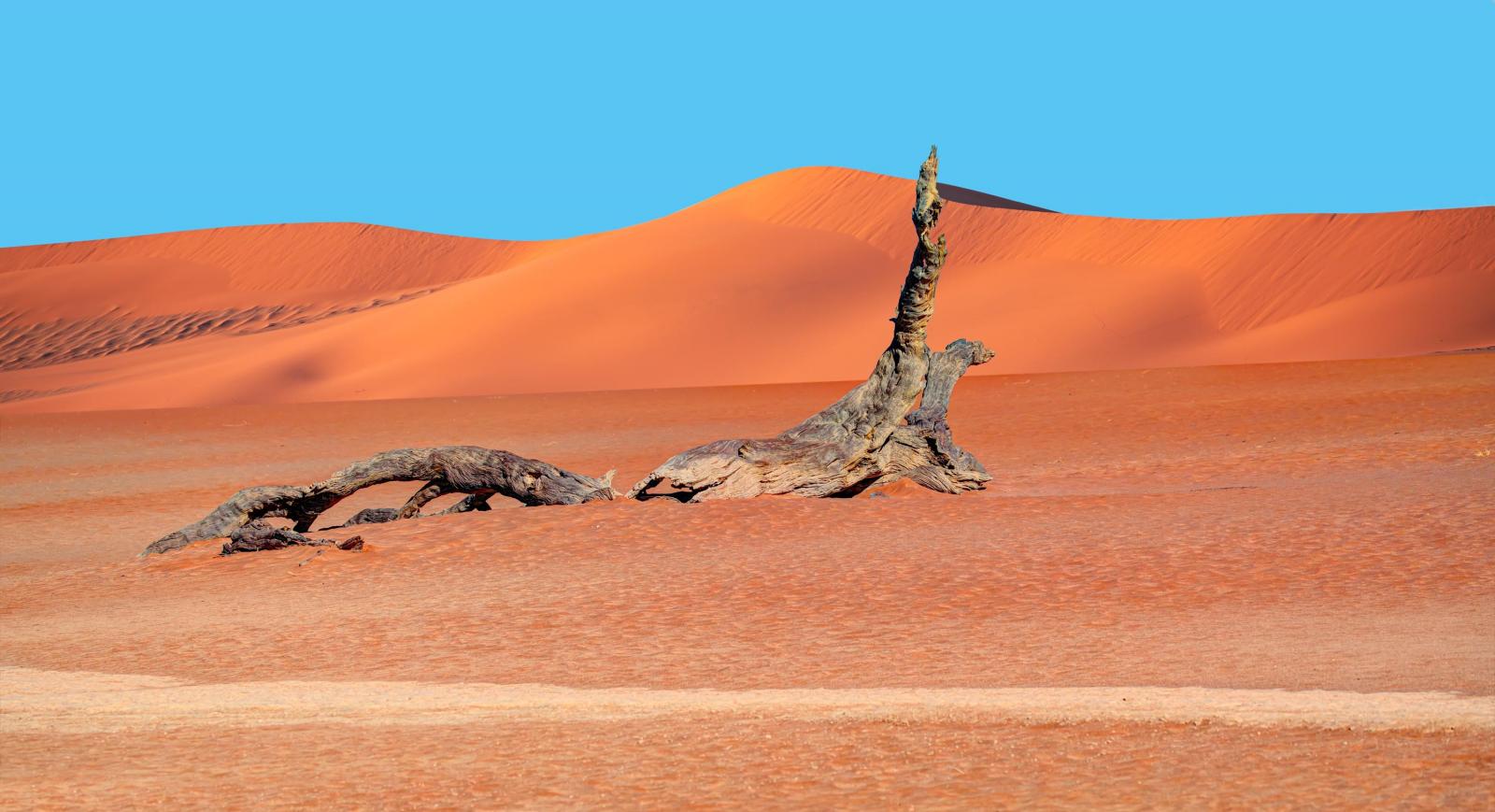 A Föld bolygó és az emberi szem