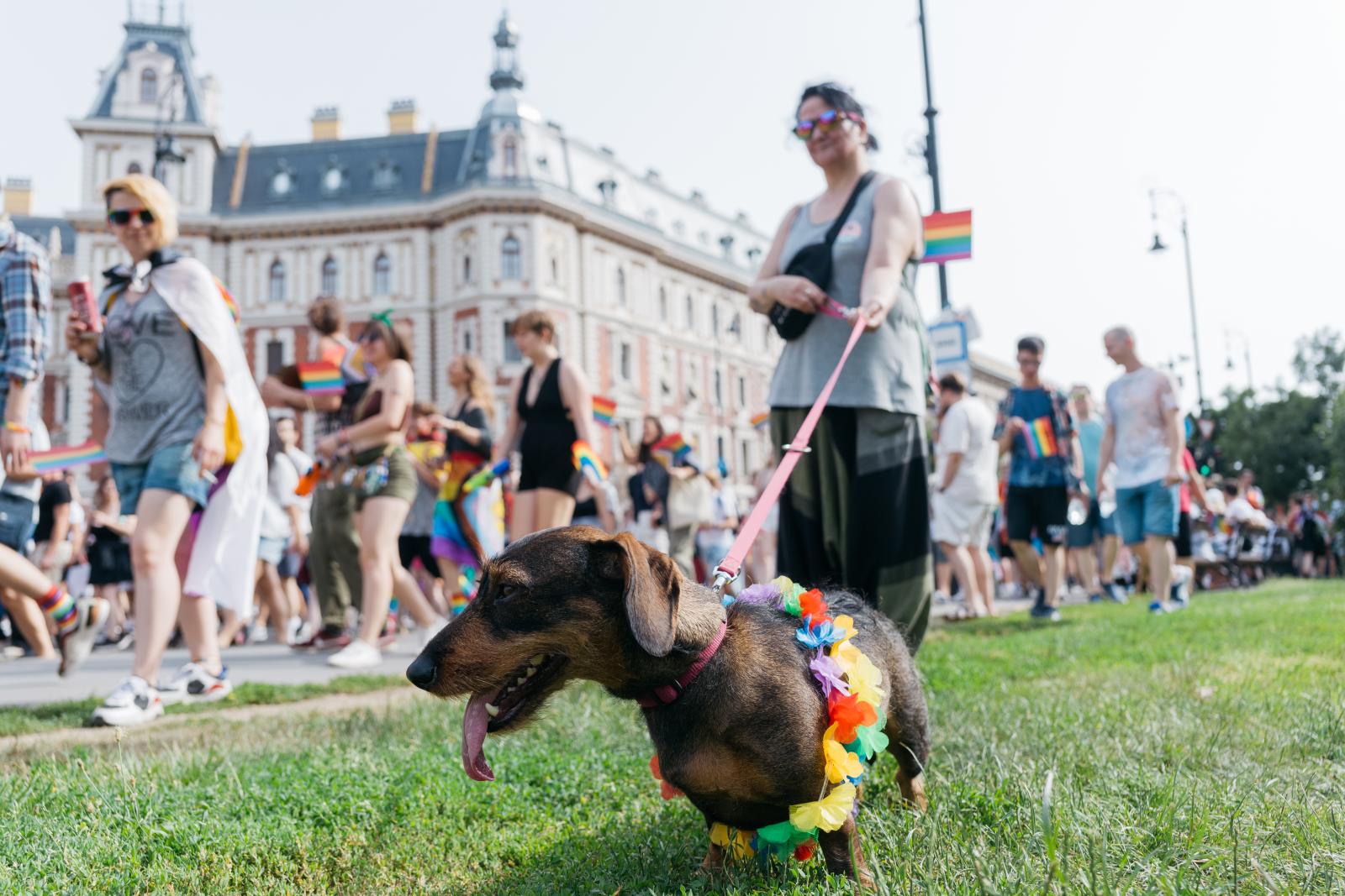 Útjukat állja a hatalom, ha valóban elfogadják a szabályozást