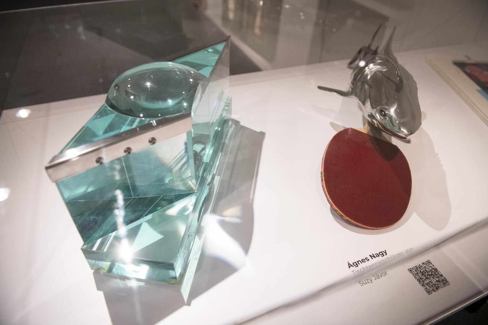 Nagy Ágnes asztalitenisz-ütője egy delfin „birtokába került”