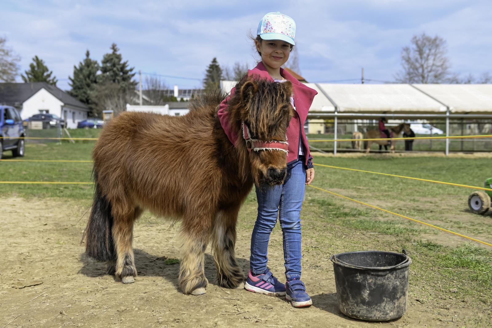 A gyerekek kedvence ez a kicsi póni