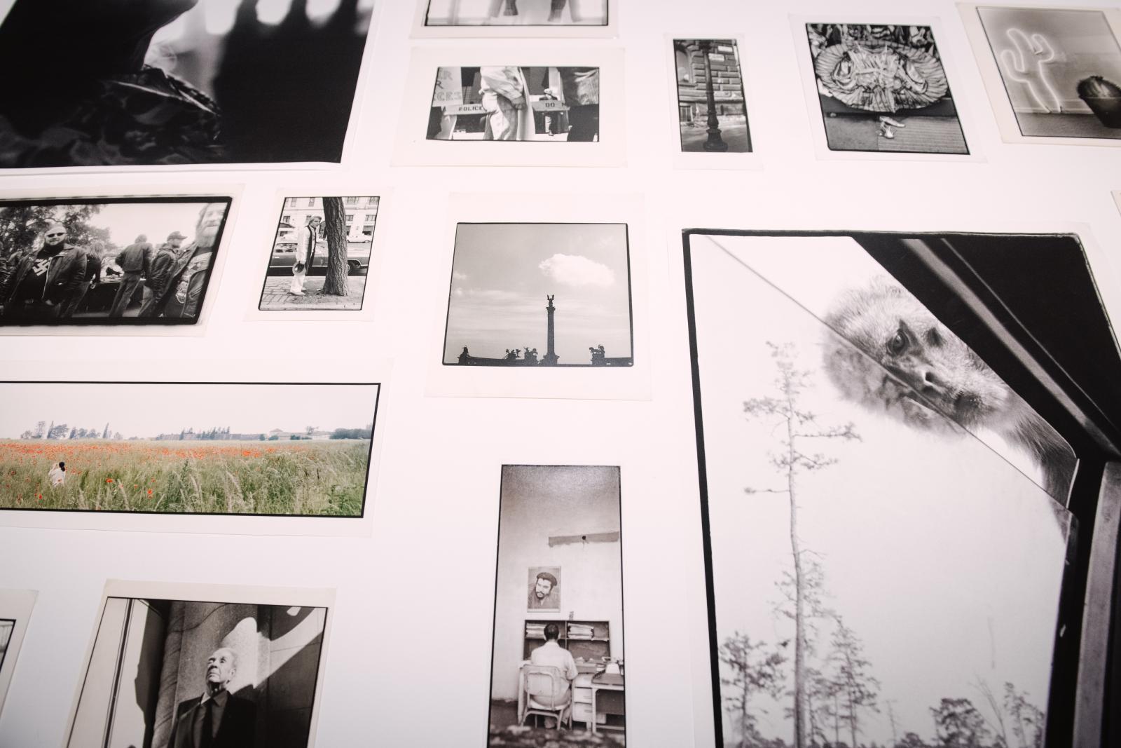 A fotóművész a fiáról, Adrien Brodyról minden év végén elküld egy képet a barátainak, ismerőseinek