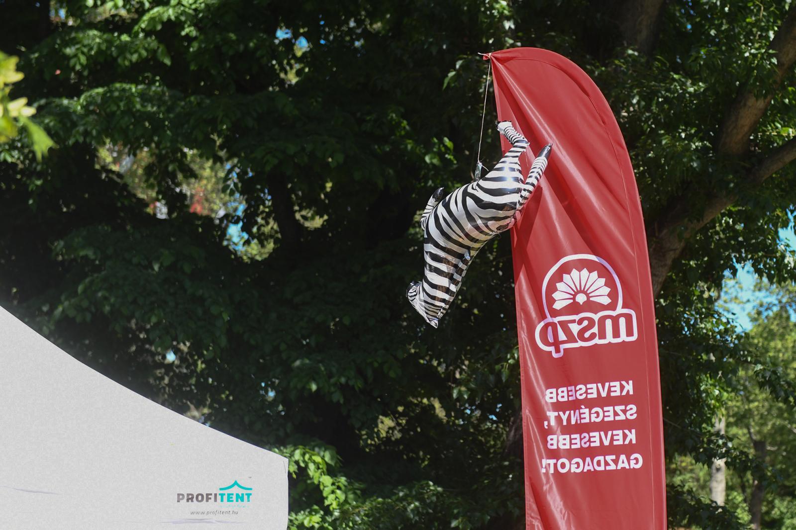 MSZP meg egy zebra. Más parlamenti pártot nem láttunk